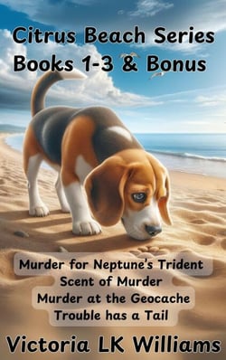Citrus Beach Series, Books 1-3 &amp; Bonus - Citrus Beach Mysteries
