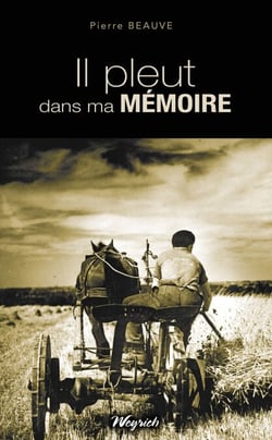 Il pleut dans ma mémoire - Roman régional