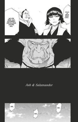 Bleach - T39 - Chapitre 333 - Ash &amp; Salamander