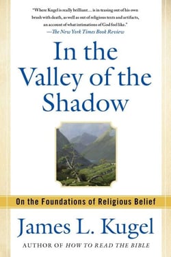 In the Valley of the Shadow - On the Foundations of Religious Belief