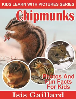 Chipmunks Photos and Fun Facts for Kids - Kids Learn With Pictures, #96