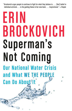 Superman's Not Coming - Our National Water Crisis and What We the People Can Do About It