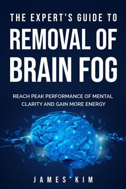 The Expert's Guide to  Removal of Brain Fog:  Reach Peak Performance of Mental Clarity and Gain More Energy