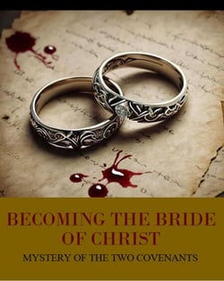 Mystery of the Two Covenants - Becoming the Bride of Christ, #1