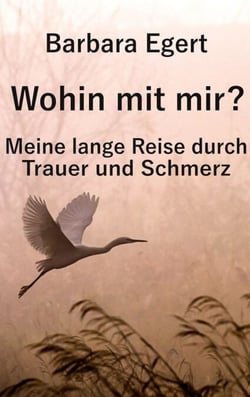 Wohin mit mir? Meine lange Reise durch Trauer und Schmerz