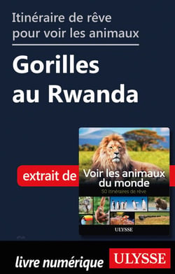 Itinéraire de rêve pour voir les animaux - Gorilles au Rwanda