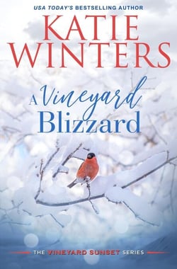 A Vineyard Blizzard - A Vineyard Sunset Series, #12