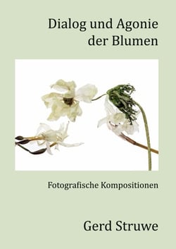 Dialog und Agonie der Blumen - Fotografische Kompositionen