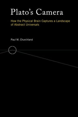 Plato's Camera - How the Physical Brain Captures a Landscape of Abstract Universals