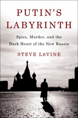 Putin's Labyrinth - Spies, Murder, and the Dark Heart of the New Russia