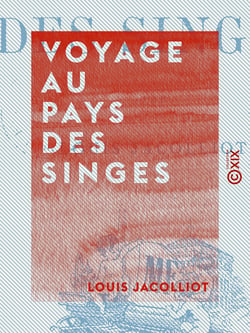 Voyage au pays des singes