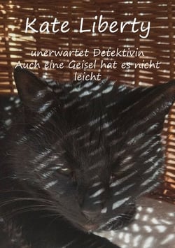 Kate Liberty - Unerwartet Detektivin / Auch eine Geisel hat es nicht leicht