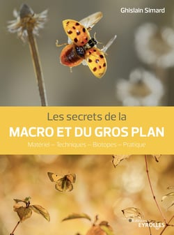 Les secrets de la macro et du gros plan - Techniques de base - matériel - pratiques expertes