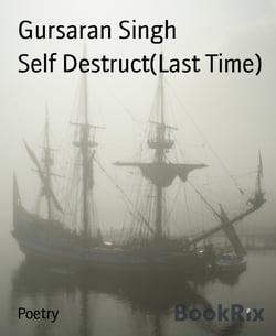 Self Destruct(Last Time)