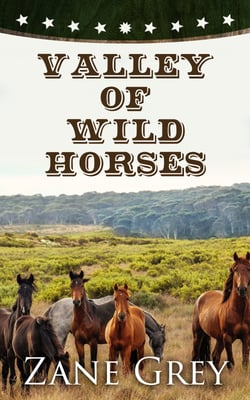 Valley of Wild Horses - Western Classic