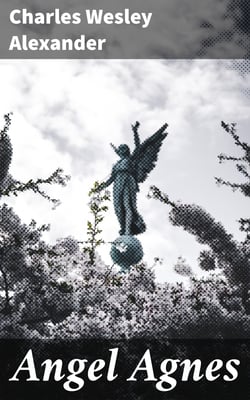 Angel Agnes - The Heroine of the Yellow Fever Plague in Shreveport