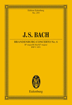 Brandenburg Concerto No. 6 Bb major - BWV 1051