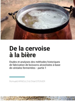 De la Cervoise à la Bière - Etudes et analyses des méthodes historique de fabrication de boissons alcoolisées à base de céréales fermentées