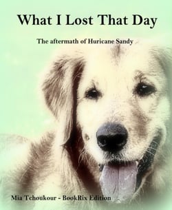 What I Lost That Day - The aftermath of Hurricane Sandy