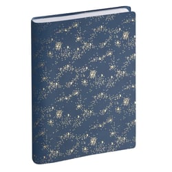 Agenda scolaire journalier 2026/2027 Exacompta - Modèles aléatoires - 12 x 17 cm - Forum Méline - Vendu à l'unité