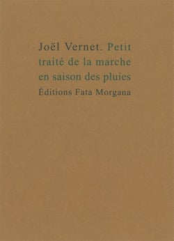Petit traité de la marche en saison des pluies