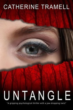 Untangle : a Twisted Psychological Thriller That Will Keep You Guessing - Paradigm, #2