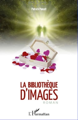 La bibliothèque d'images - Roman