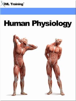Human Physiology (Human Body) - Human Body