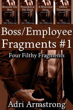 Boss/Employee Fragments #1 - Filthy Fragments, #9