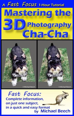 Mastering the 3D Photography Cha-Cha - Fast Focus Tutorials, #3