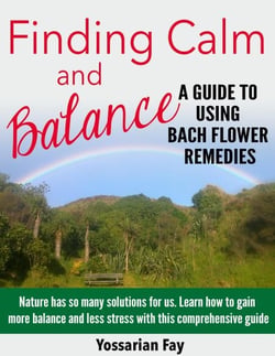 Finding Calm and Balance - A Guide to Using Bach Flower Remedies