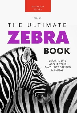 Zebras: The Ultimate Zebra Book - Animal Books for Kids, #1