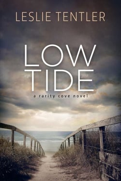 Low Tide (Rarity Cove Book 2) - Rarity Cove, #2