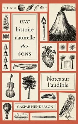 Une histoire naturelle des sons - Notes sur l’audible