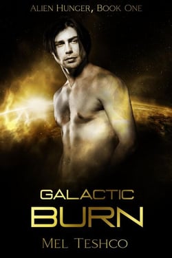 Galactic Burn: A Scifi Alien Romance - Alien Hunger, #1