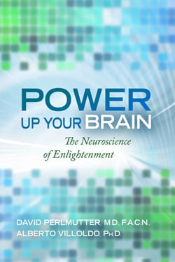 Power Up Your Brain - The Neuroscience of Enlightenment