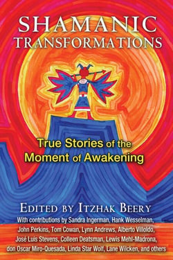 Shamanic Transformations - True Stories of the Moment of Awakening