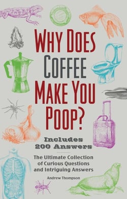 Why Does Coffee Make You Poop? - The Ultimate Collection of Curious Questions and Intriguing Answers