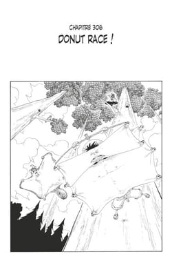 One Piece édition originale - Chapitre 306 - Donut race !