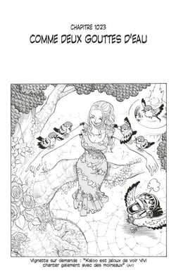 One Piece édition originale - Chapitre 1023 - Comme deux gouttes d'eau