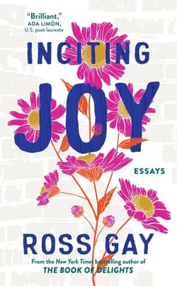 Inciting Joy - Essays