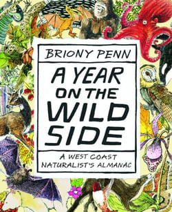 A Year on the Wild Side - A West Coast Naturalist's Almanac