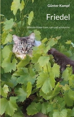 Friedel - Wie ein Kater kam, sah und schnurrte