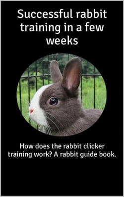 Successful rabbit training in a few weeks - How does the rabbit clicker training work? A rabbit guide book.