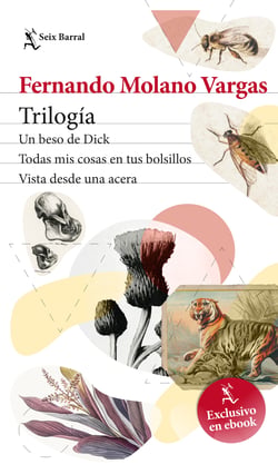 Trílogia: tres esquinas de Fernando Molano - Un beso de Dick, todas mis cosas en tus bolsillos y vista desde una acera