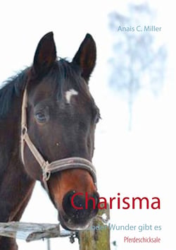 Charisma - ... oder Wunder gibt es