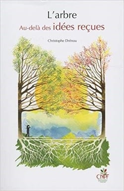 L'arbre - au-delà des idées reçues