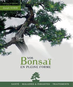 Vos bonsaï en pleine forme