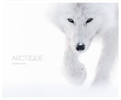 Arctique