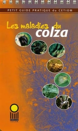 Les maladies du colza